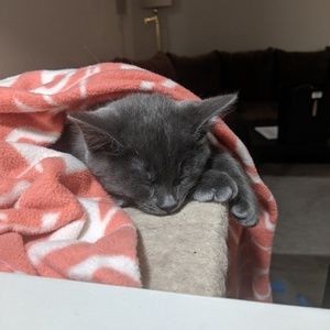 Meet your Posher, Amy-lynn